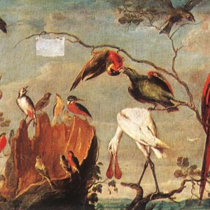 Concert Of Birds