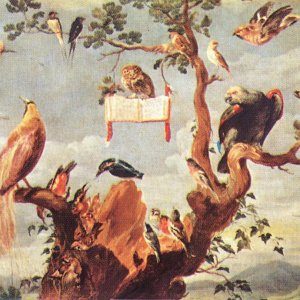 Concert Of Birds