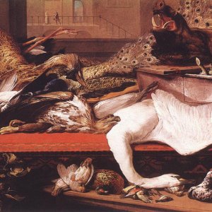 Still Life