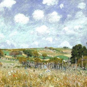 Meadow