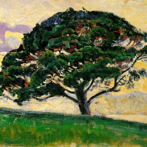 The Large Pine, Saint-Tropez