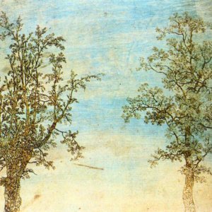 Two Trees