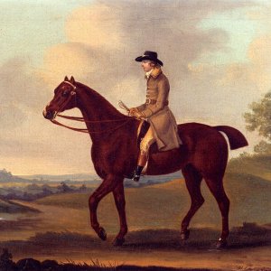 A Horseman In A Landscape