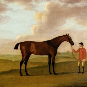 Captain Dennis O'Kellys Basilimo Held By A Groom