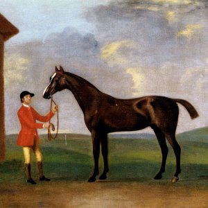 Captain Dennis O'Kellys Basilimo Held By A Groom
