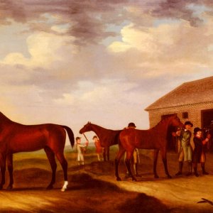 Four Racehorses Outside The Rubbing Down, House Newmarket