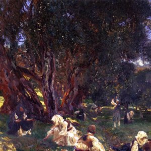 Albanian Olive Pickers