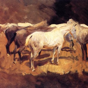 Horses At Palma