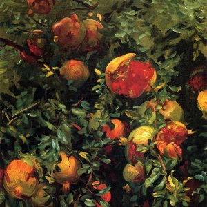 Pomegranates