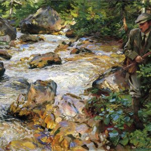Trout Stream In The Tyrol