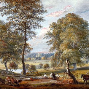 Foresters In Windsor Great Park