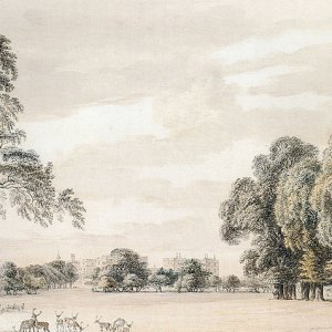 South East View Of Windsor Castle From The Park