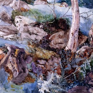 Study of the Rocks and Ferns Crossmouth