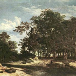 The Large Forest